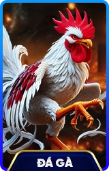 78WIN ⚽️ Trang Chủ 78WIN.COM Chính Thức | Nhận Quà T/4 +77K 3 da ga 78win school